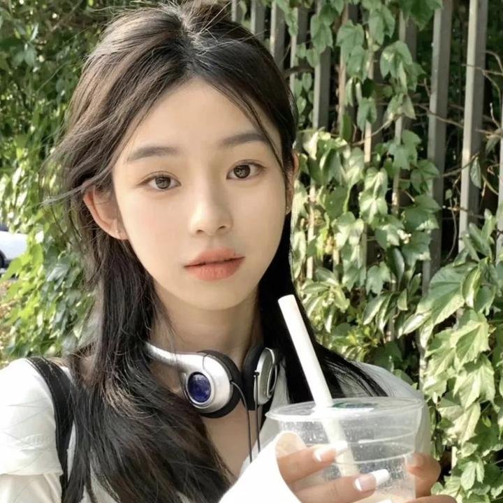 与鲨同泳